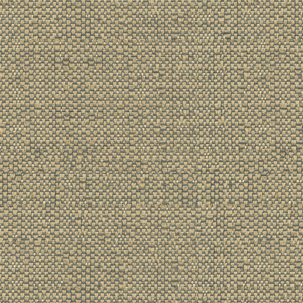 Ocean Treasures Pewter by Kravet Design Fabric