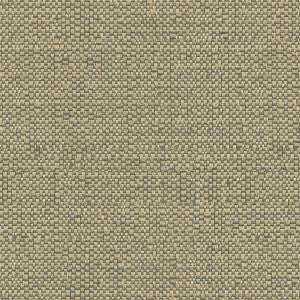 Ocean Treasures Pewter by Kravet Design Fabric