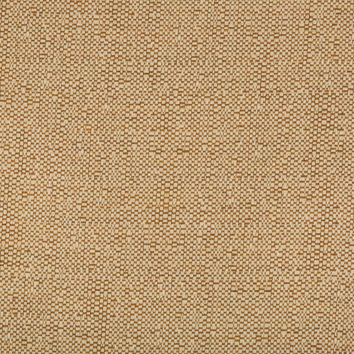 Ocean Treasures Spice by Kravet Design Fabric OCEANIA INDOOR OUTDOOR SOLUTION DYED ACRYLIC - 100% United States MEDIUM Horizontal: - and Vertical: - 54 - Fabric Carolina -