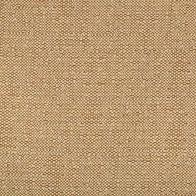 Ocean Treasures Spice by Kravet Design Fabric