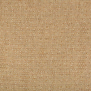 Ocean Treasures Spice by Kravet Design Fabric