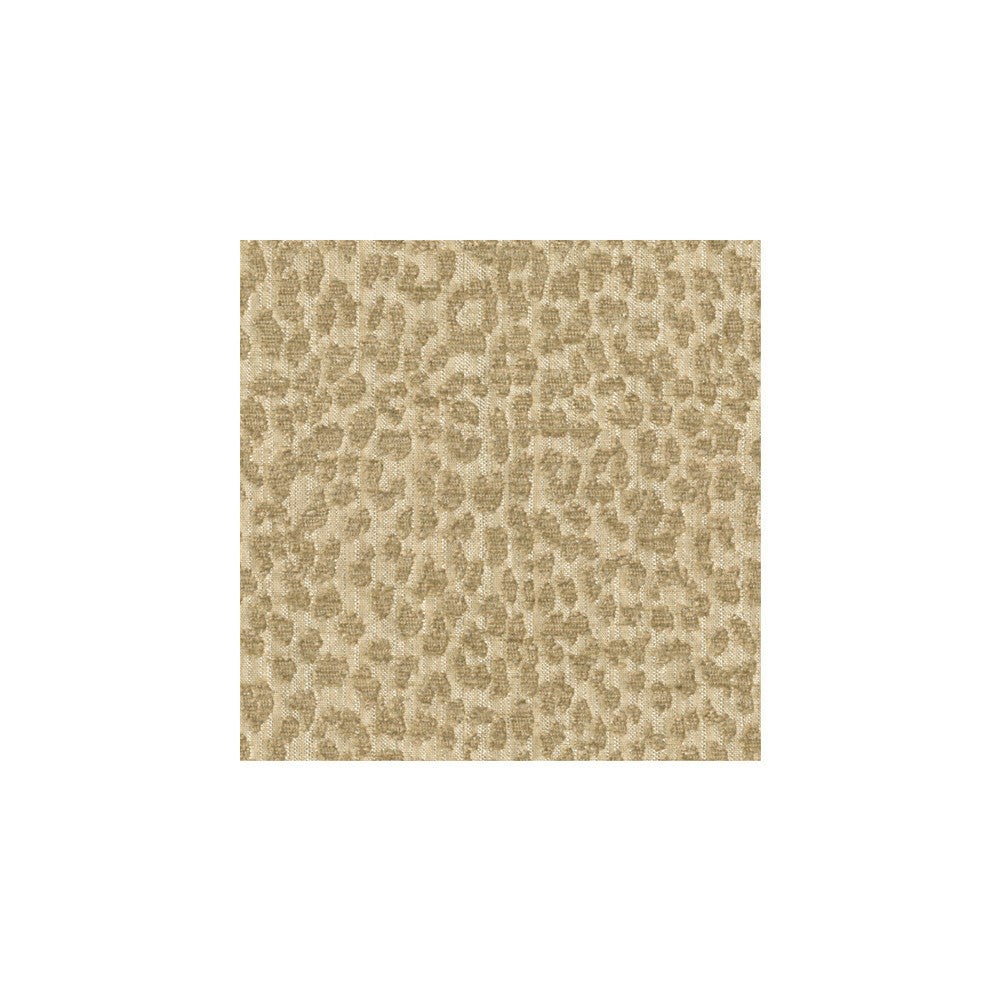 Tetouan Creme by Kravet Design Fabric CANDICE OLSON COLLECTION RAYON - 74%;POLYESTER - 26% United States HEAVY Horizontal: 7 and Vertical: 7 54 - Fabric Carolina -