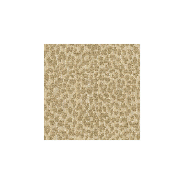 Tetouan Creme by Kravet Design Fabric CANDICE OLSON COLLECTION RAYON - 74%;POLYESTER - 26% United States HEAVY Horizontal: 7 and Vertical: 7 54 - Fabric Carolina -