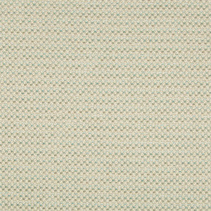 Polo Texture Seaspray by Kravet Design Fabric