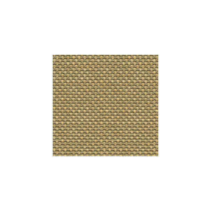 Polo Texture Dove by Kravet Design Fabric OCEANIA INDOOR OUTDOOR SOLUTION DYED ACRYLIC - 100% United States HEAVY Horizontal: - and Vertical: - 53 - Fabric Carolina -