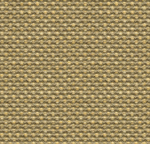 Polo Texture Dove by Kravet Design Fabric