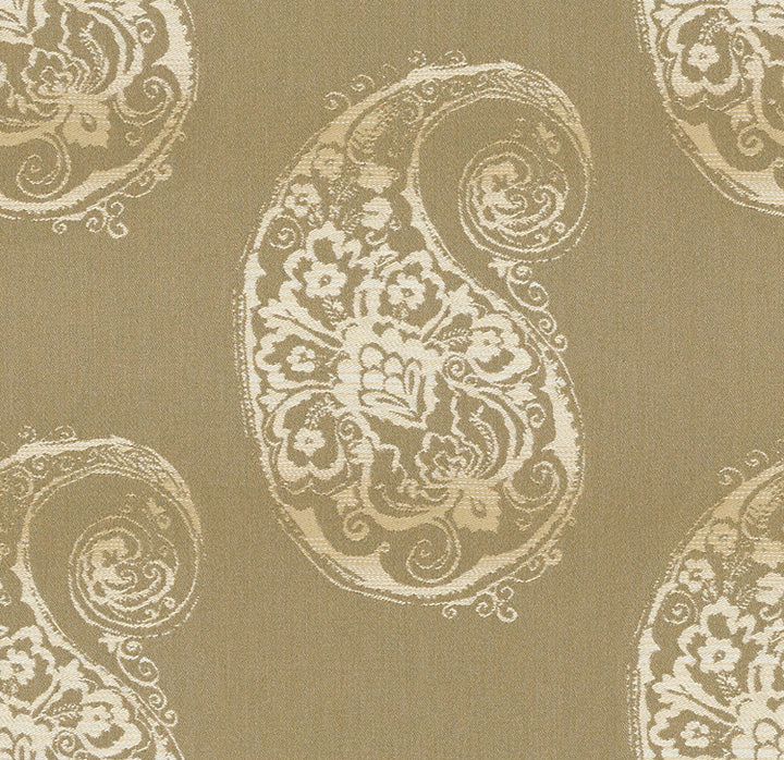 Paisley Delight Sandy by Kravet Design Fabric