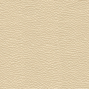 Whampoa Shell by Kravet Basics Fabric