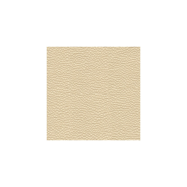 Whampoa Shell by Kravet Basics Fabric CANDICE OLSON COLLECTION RAYON - 61%;POLYESTER - 39% United States HEAVY Horizontal: 3.5 and Vertical: 59 - Fabric Carolina -
