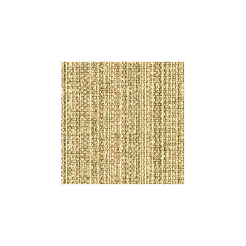 Impeccable Cream by Kravet Smart Fabric GIS RAYON - 84%;COTTON - 16% United States HEAVY Horizontal: 9 and Vertical: - 58 - Fabric Carolina -