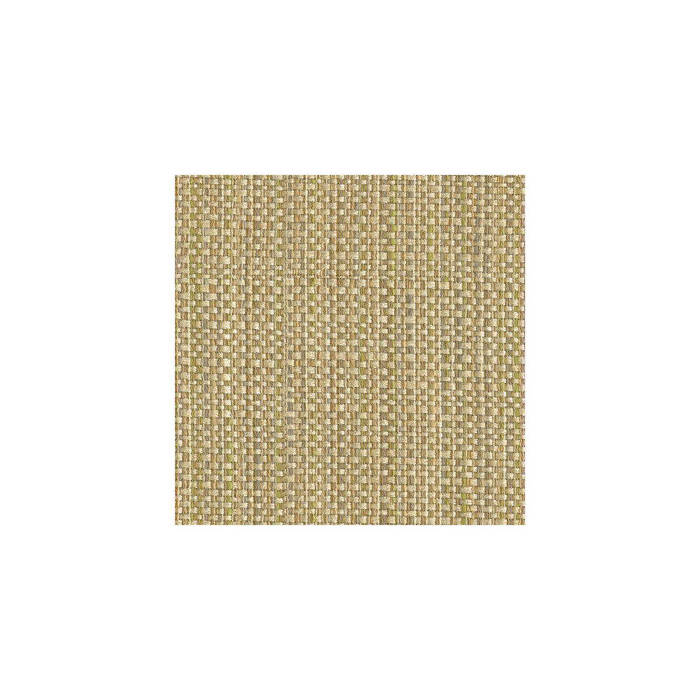 Impeccable Natural by Kravet Smart Fabric GIS RAYON - 84%;COTTON - 16% United States HEAVY Horizontal: 9 and Vertical: 58 - Fabric Carolina -