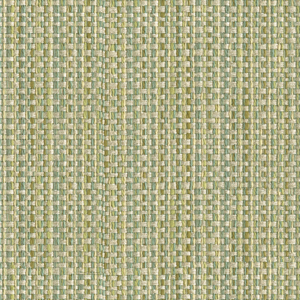 Impeccable Watery by Kravet Smart Fabric
