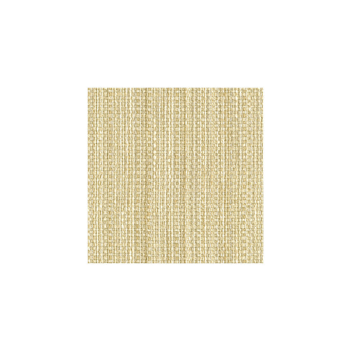 Impeccable Snow by Kravet Smart Fabric GIS RAYON - 84%;COTTON - 16% United States HEAVY Horizontal: 9 and Vertical: 58 - Fabric Carolina -