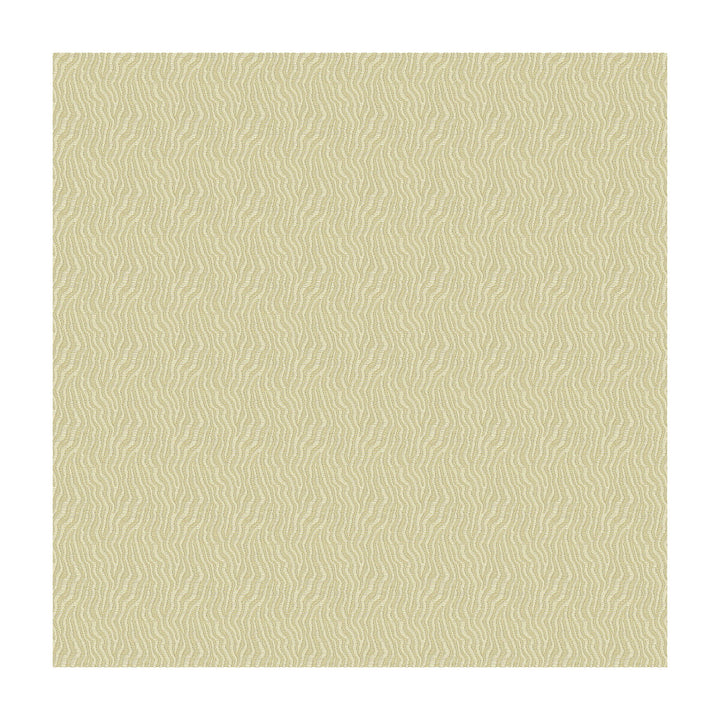 Jentry Shell by Kravet Design Fabric CANDICE OLSON COLLECTION POLYESTER - 75%;RAYON - 25% China HEAVY Horizontal: 1.5 and Vertical: 1.5 55 - Fabric Carolina -