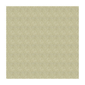 Jentry Champagne by Kravet Design Fabric