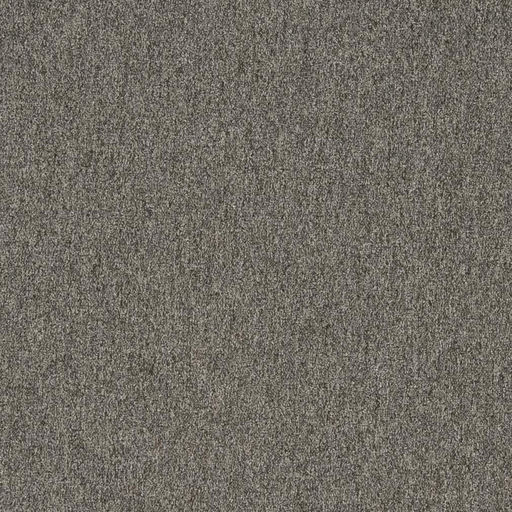 3200 Graphite by Charlotte Fabric Ring Book Page #6 100% Woven Polyester Asia Exceeds 100,000 Wyzenbeek Rubs (Heavy Duty) No Repeat 54 Inches - Fabric Carolina -