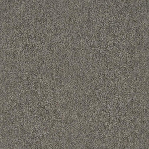 3200 Graphite by Charlotte Fabric