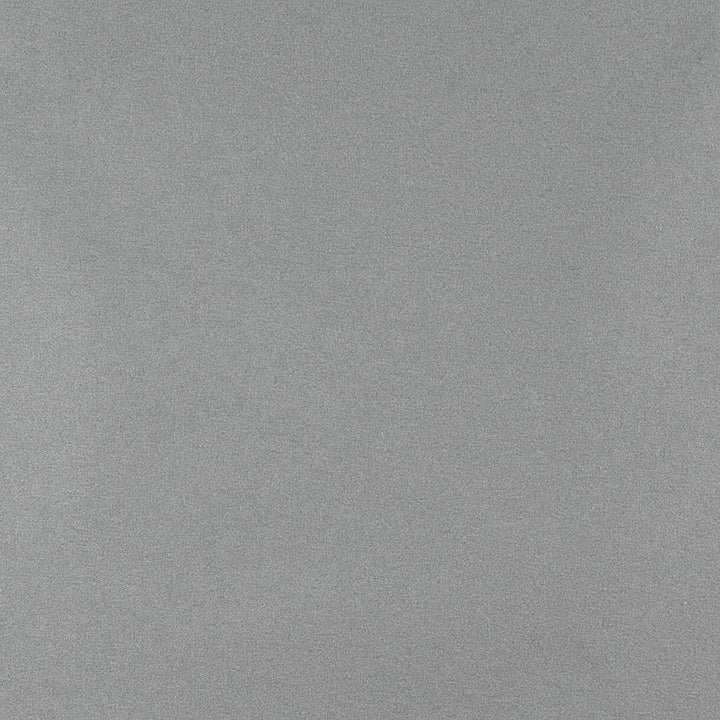 3203 Mist by Charlotte Fabric Ring Book Page #6 100% Woven Polyester Asia Exceeds 100,000 Wyzenbeek Rubs (Heavy Duty) No Repeat 54 Inches - Fabric Carolina -
