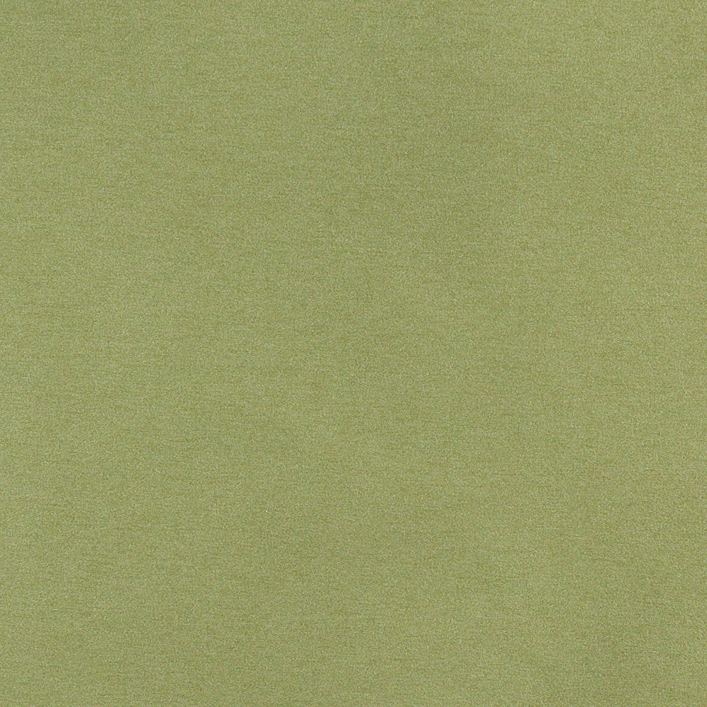 3204 Spring by Charlotte Fabric Ring Book Page #6 100% Woven Polyester Asia Exceeds 100,000 Wyzenbeek Rubs (Heavy Duty) No Repeat 54 Inches - Fabric Carolina -