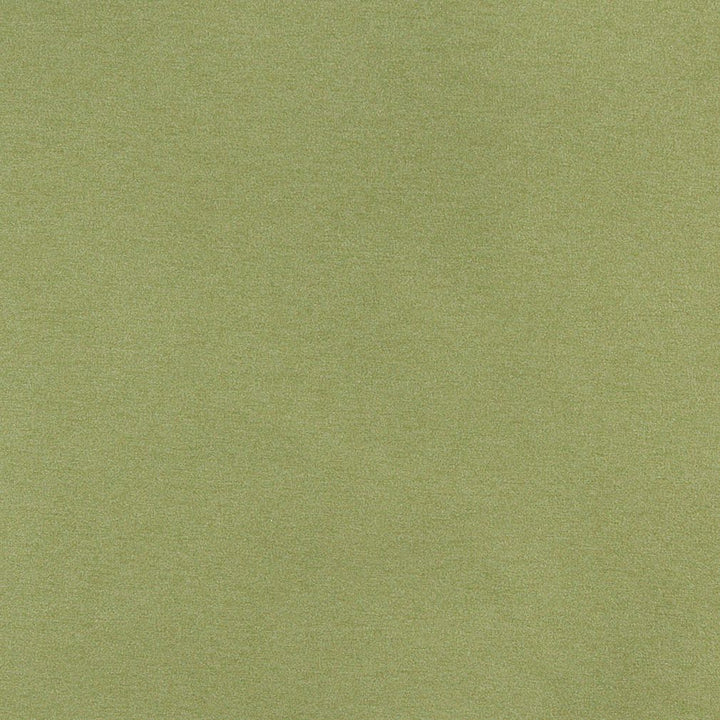 3204 Spring by Charlotte Fabric Ring Book Page #6 100% Woven Polyester Asia Exceeds 240,000 Wyzenbeek Rubs (Heavy Duty) </p><p>Repeat: 54 Inches - Fabric Carolina -