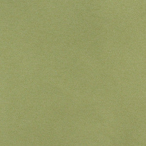 3204 Spring by Charlotte Fabric