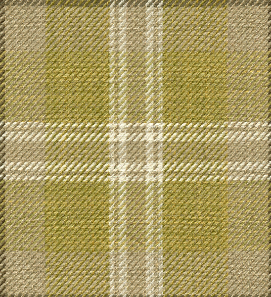 Forever Young Quince by Kravet Couture Fabric