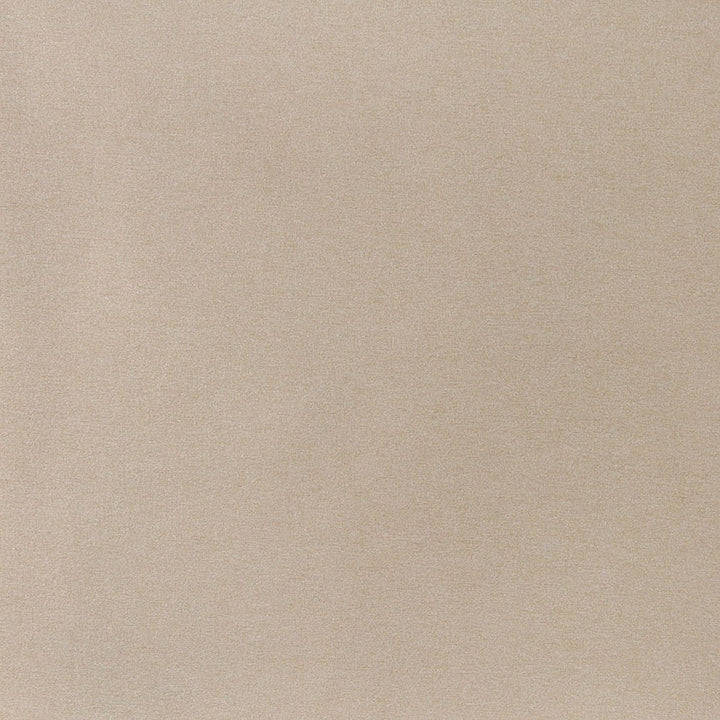 3207 Sand by Charlotte Fabric Ring Book Page #6 100% Woven Polyester Asia Exceeds 100,000 Wyzenbeek Rubs (Heavy Duty) No Repeat 54 Inches - Fabric Carolina -