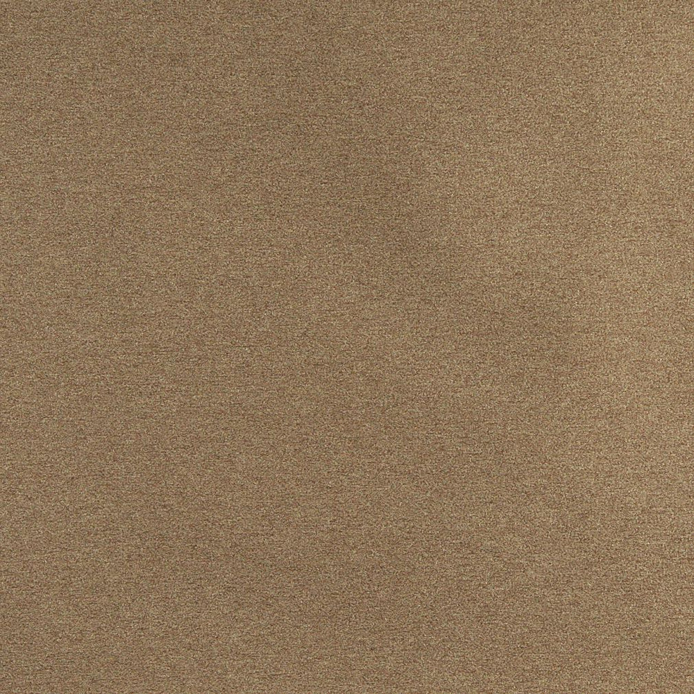 3209 Moss by Charlotte Fabric Ring Book Page #6 100% Woven Polyester Asia Exceeds 100,000 Wyzenbeek Rubs (Heavy Duty) No Repeat 54 Inches - Fabric Carolina -