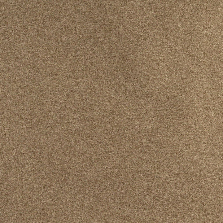 3209 Moss by Charlotte Fabric Ring Book Page #6 100% Woven Polyester Asia Exceeds 100,000 Wyzenbeek Rubs (Heavy Duty) No Repeat 54 Inches - Fabric Carolina -