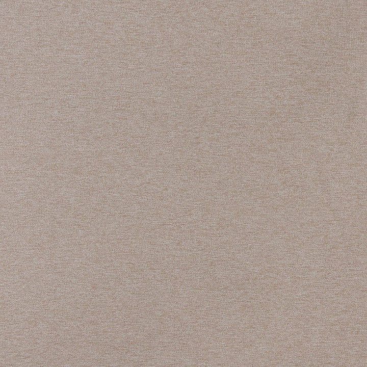 3211 Dune by Charlotte Fabric Ring Book Page #6 100% Woven Polyester Asia Exceeds 100,000 Wyzenbeek Rubs (Heavy Duty) No Repeat 54 Inches - Fabric Carolina -