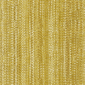 Romana Kiwi by Kravet Design Fabric