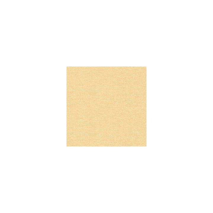 32148-1111 by Kravet Contract Fabric POLYESTER - 100% India HEAVY Horizontal: 0 and Vertical: 0 54 - Fabric Carolina -