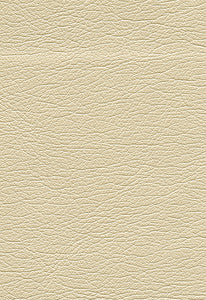 Ultraleather Pearlized Abalone 322-3173 by Schumacher Fabric