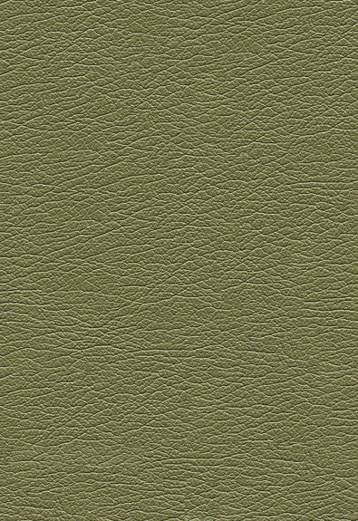 Ultraleather Pearlized Green Tea 322-4498 by Schumacher Fabric Ultraleather 100% Polyurethane Wyzenbeek 400,000 Horizontal: - and Vertical: - 54 - Fabric Carolina -