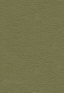 Ultraleather Pearlized Green Tea 322-4498 by Schumacher Fabric