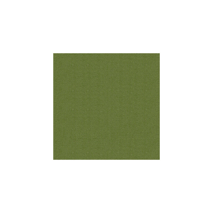 Soho Solid Leaf by Kravet Smart Fabric POLYESTER - 80%;RAYON - 20% China HEAVY Horizontal: and Vertical: 55 - Fabric Carolina -