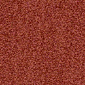 Izzie Mesa by Kravet Contract Fabric