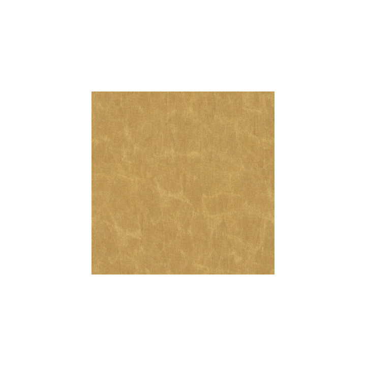 Shooting Star Golden by Kravet Basics Fabric COTTON - 51%;POLYESTER - 42%;ACRYLIC - 7% Korea, Republic of HEAVY Horizontal: and Vertical: 55 - Fabric Carolina -