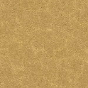 Shooting Star Golden by Kravet Basics Fabric