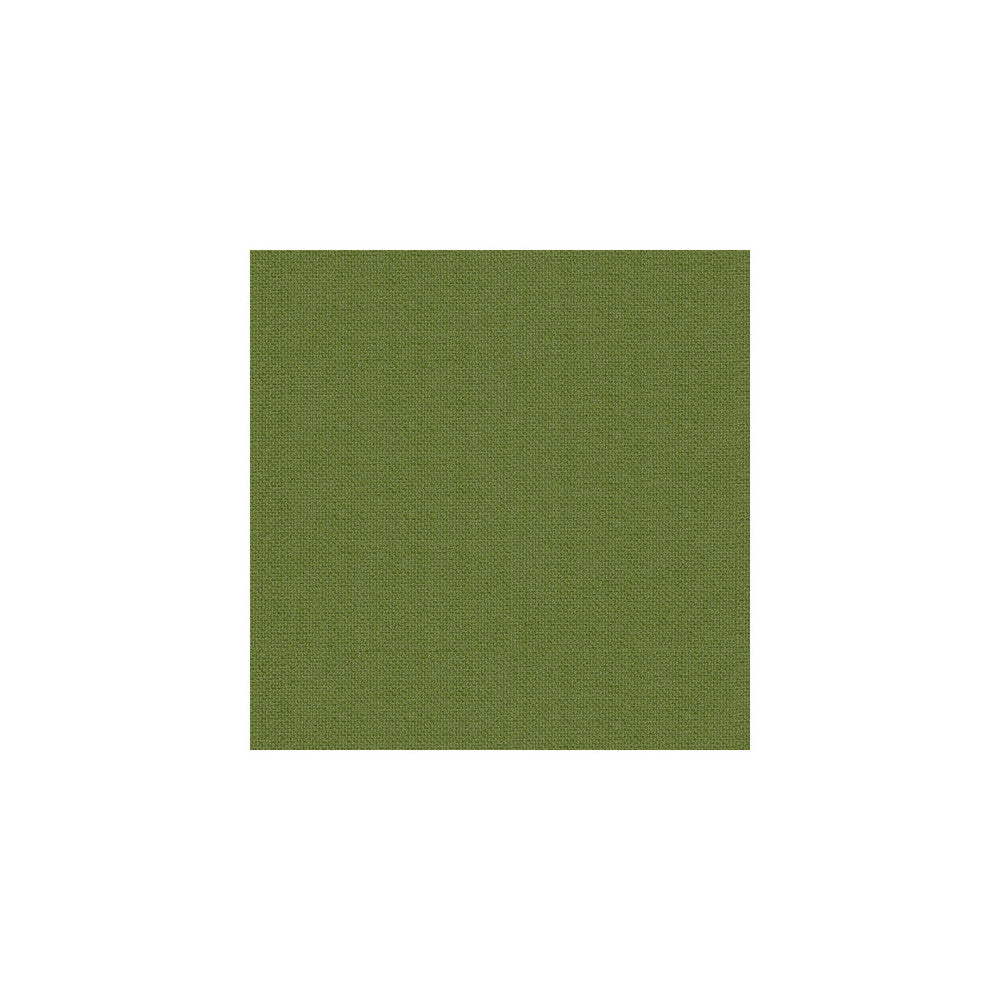 Hudson Solid Leaf by Kravet Contract Fabric - POLYESTER - 80%;RAYON - 20% China HEAVY Horizontal: - and Vertical: - 55 - Fabric Carolina -