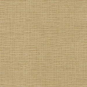 Kravet Basics 32314-1616 by Kravet Basics Fabric