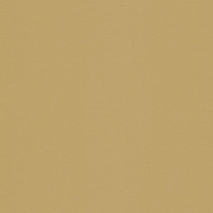 Sarasota Toast by Kravet Basics Fabric