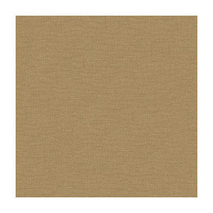 Dublin Peanut by Kravet Basics Fabric