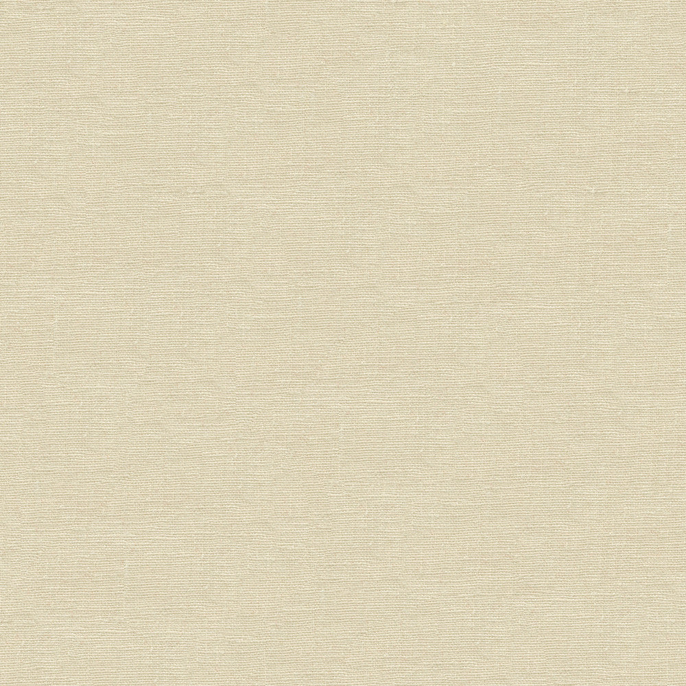 Dublin Sand by Kravet Basics Fabric