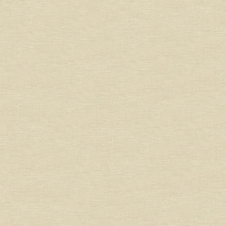 Dublin Sand by Kravet Basics Fabric