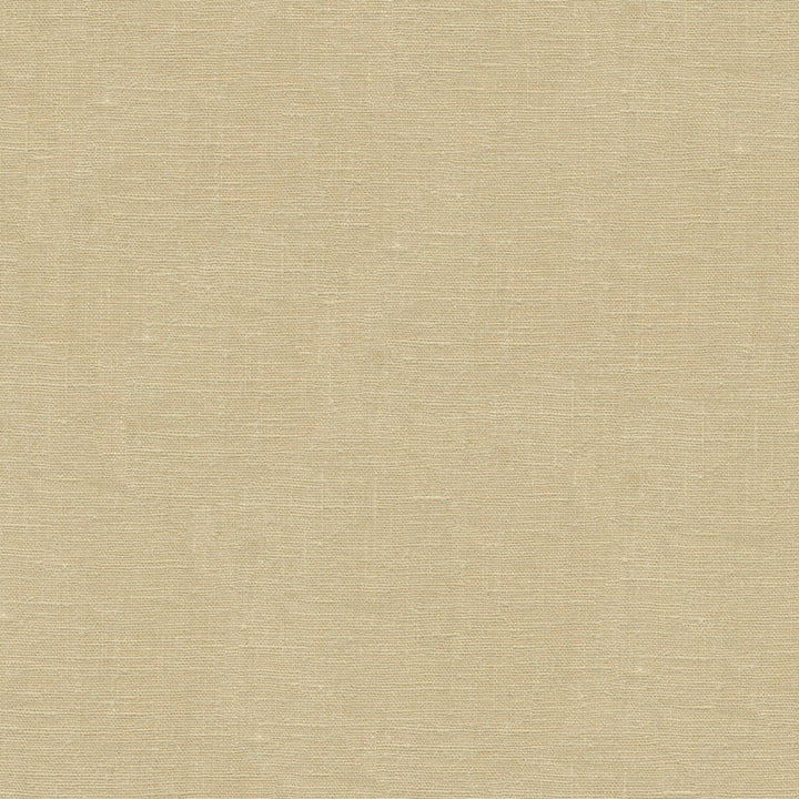 Dublin Pebble by Kravet Basics Fabric