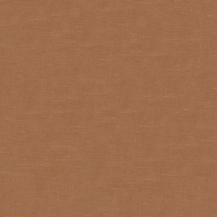 Dublin Shell by Kravet Basics Fabric