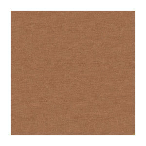 Dublin Shell by Kravet Basics Fabric