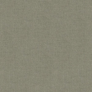 Dublin Oatmeal by Kravet Basics Fabric