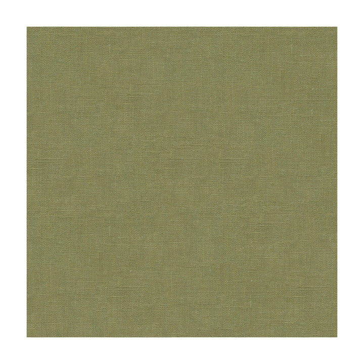 Dublin Lichen by Kravet Basics Fabric Kravet Basics Fabric Dublin LichenFabric PERFECT PLAINS LINEN - 100% United States </p><p>Repeat: H: , V: 54 - Fabric Carolina -